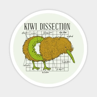 Funny Kiwi Bird Dissection // Funny Science Biology Humor Magnet